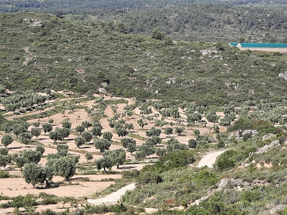 Campo Golden Heritage Maella Εξωτερικό φωτογραφία