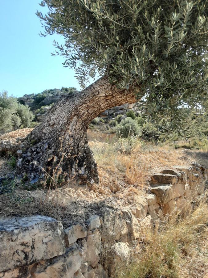 Campo Golden Heritage Maella Εξωτερικό φωτογραφία