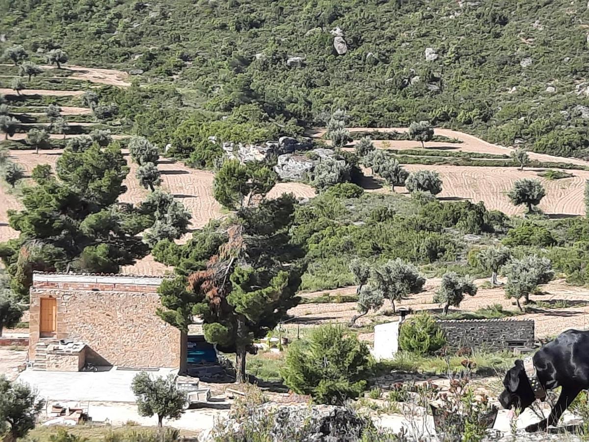 Campo Golden Heritage Maella Εξωτερικό φωτογραφία